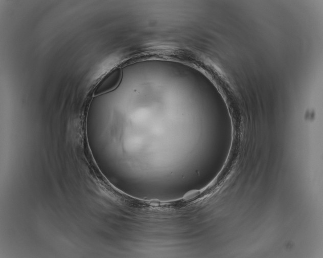 X0000091591354200708201220