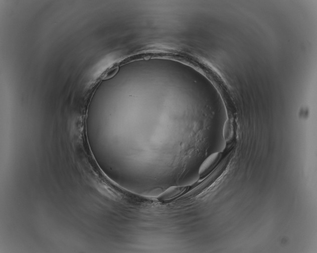 X0000091591355200708201220