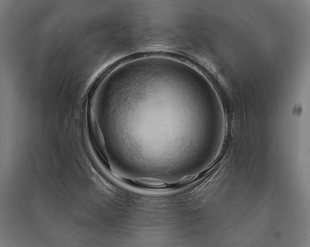 X0000091591356200708201220