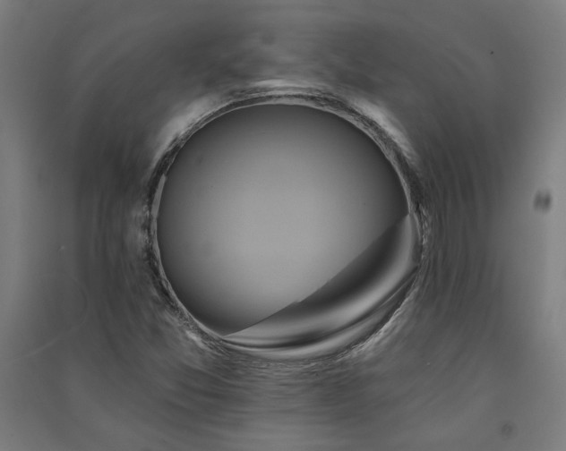 X0000091591357200708201220