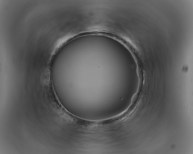 X0000091591358200708201220