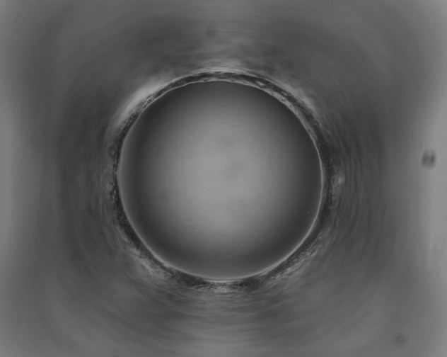 X0000091591359200708201220