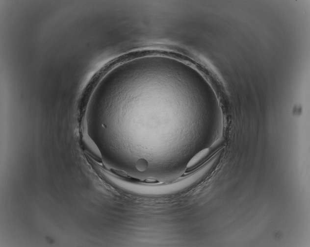 X0000091591360200708201220