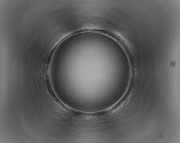 X0000091591361200708201220