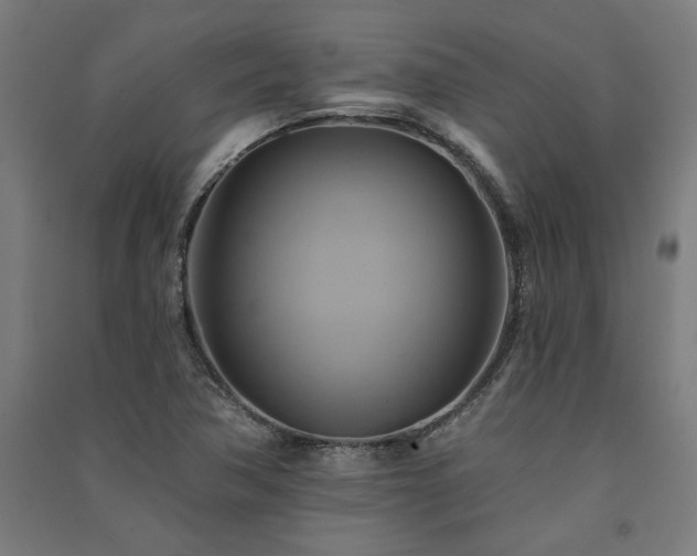 X0000091591362200708201220