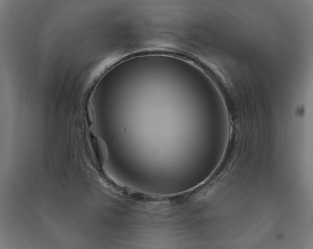 X0000091591363200708201220