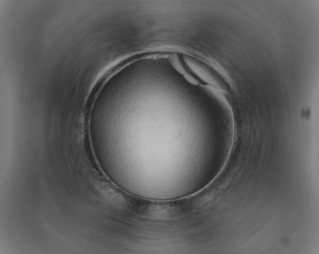 X0000091591364200708201220