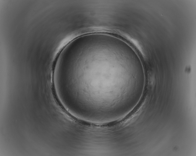 X0000091591365200708201220