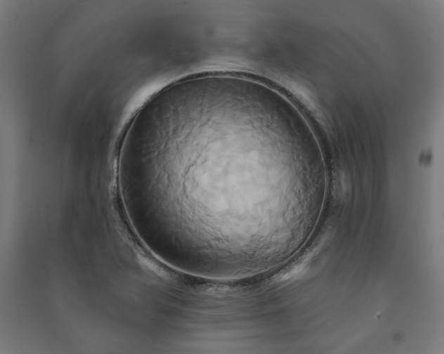 X0000091591366200708201220