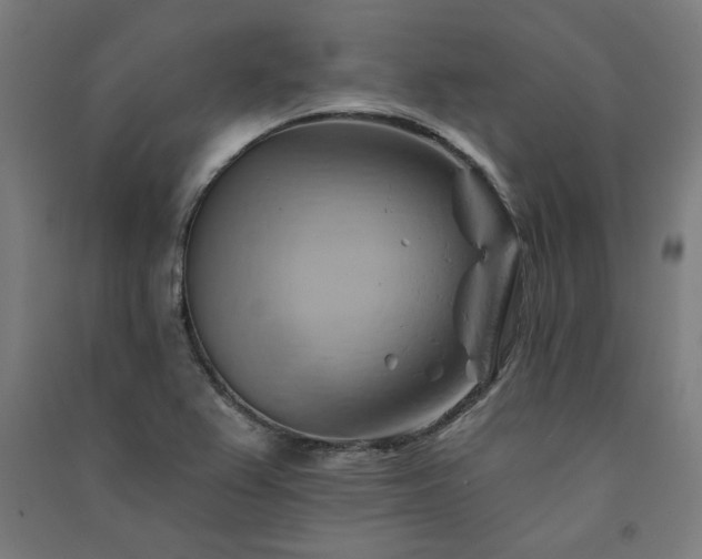 X0000091591367200708201220