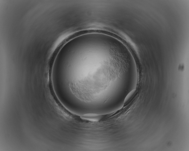 X0000091591368200708201220