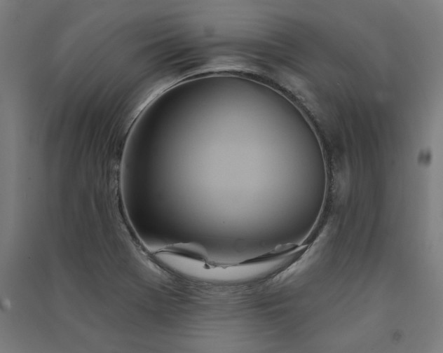 X0000091591369200708201220