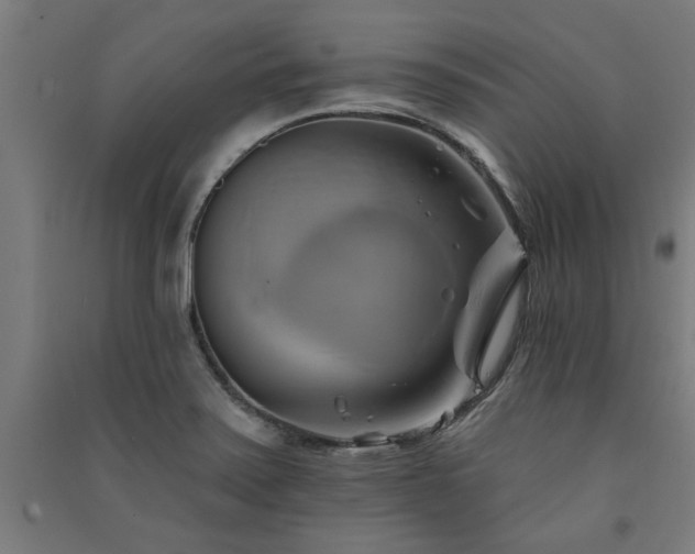 X0000091591371200708201220