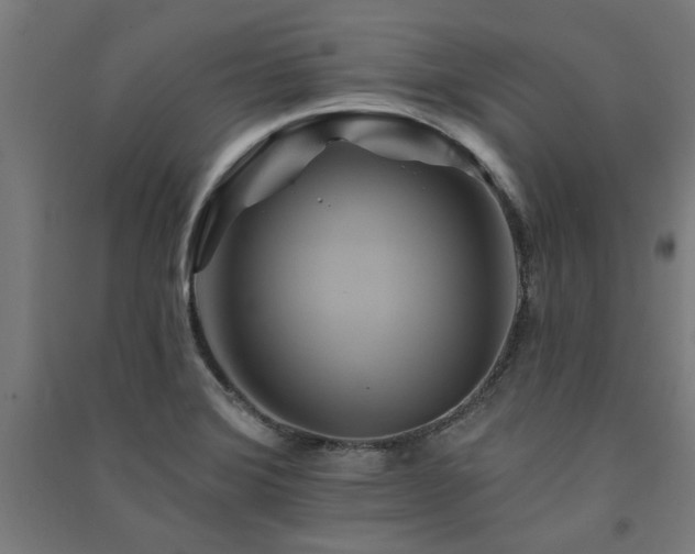 X0000091591372200708201220