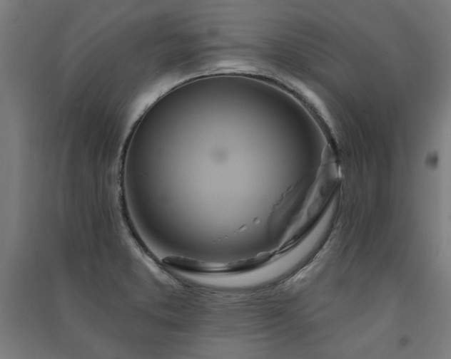 X0000091591373200708201220
