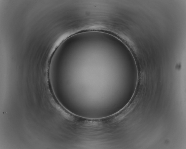 X0000091591374200708201220