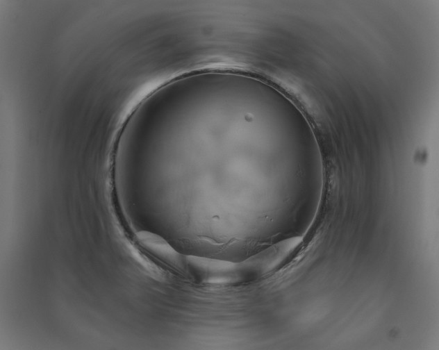 X0000091591375200708201220