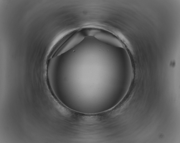 X0000091591376200708201220