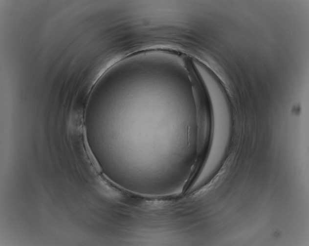 X0000091591377200708201220