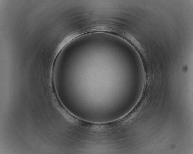 X0000091591378200708201220