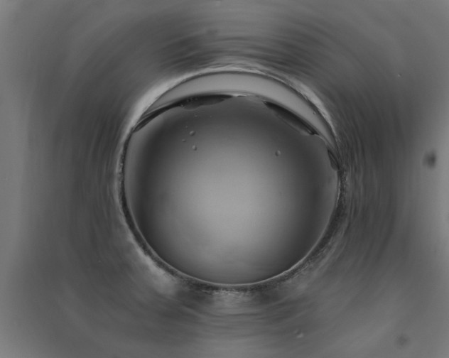 X0000091591379200708201220