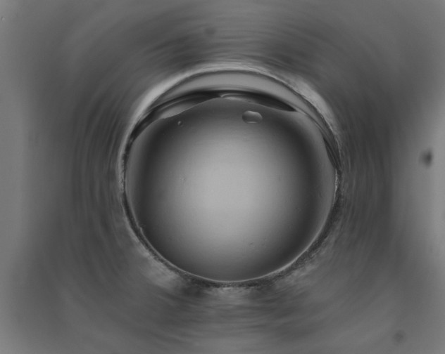 X0000091591380200708201220