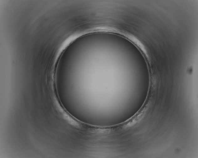 X0000091591381200708201220