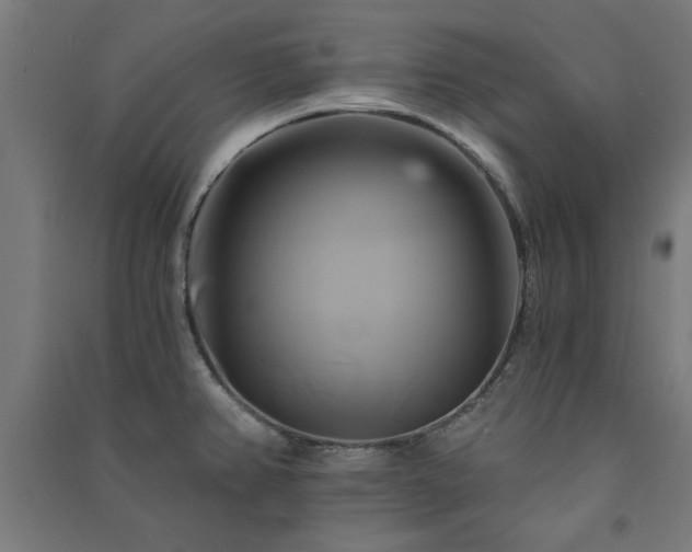 X0000091591382200708201220