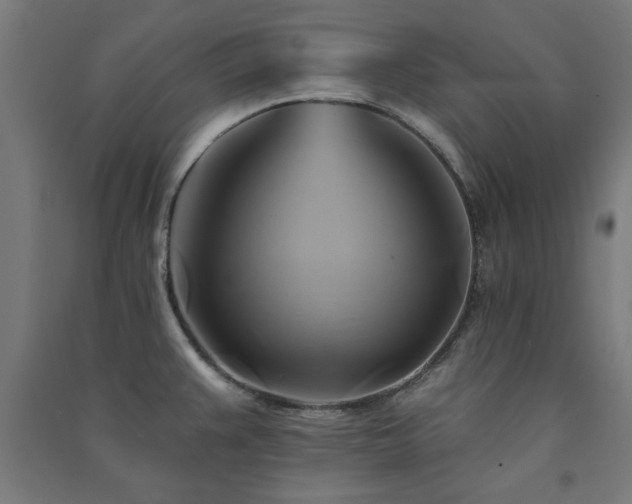 X0000091591383200708201220