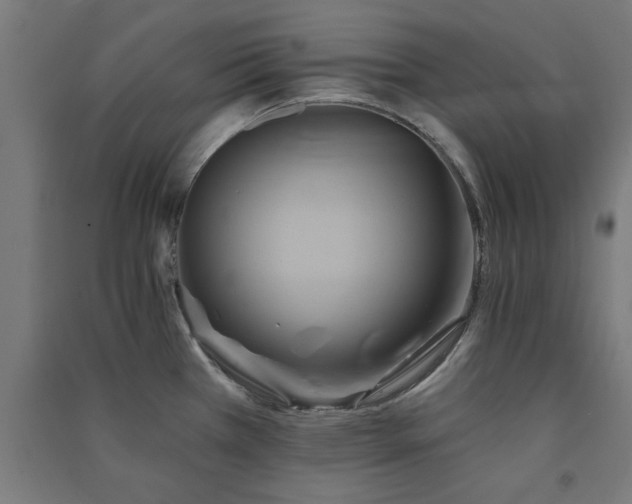 X0000091591385200708201220