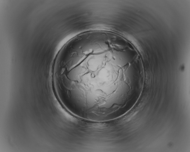 X0000091591387200708201220