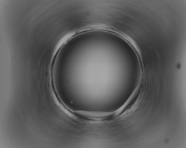 X0000091591389200708201220