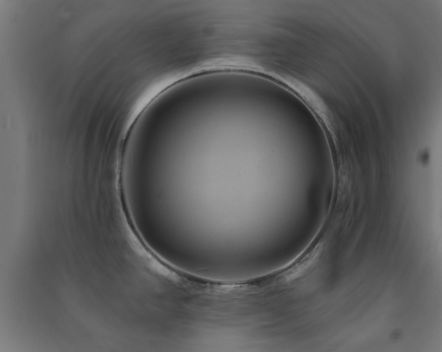 X0000091591390200708201220