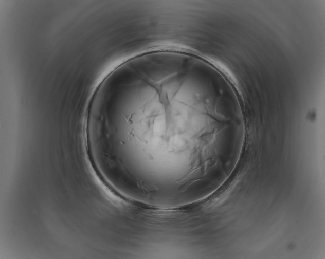 X0000091591391200708201220