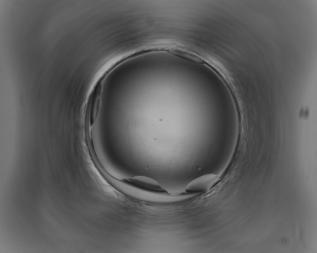 X0000091591392200708201220