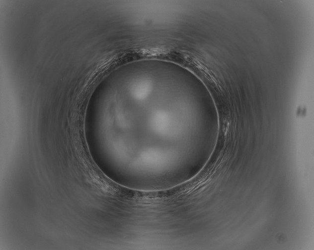 X0000091591393200708201219