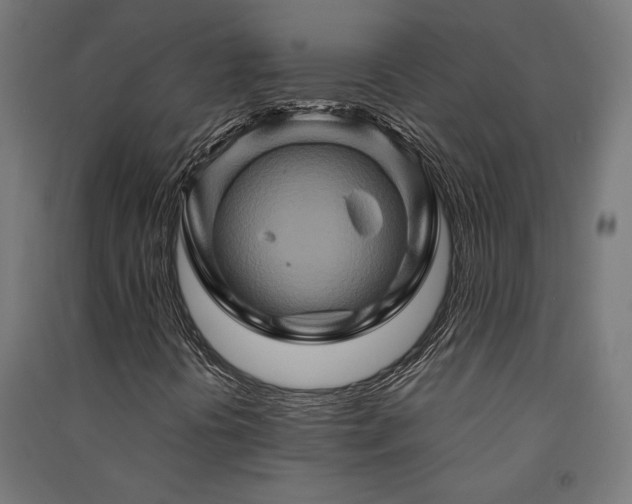 X0000091591394200708201219
