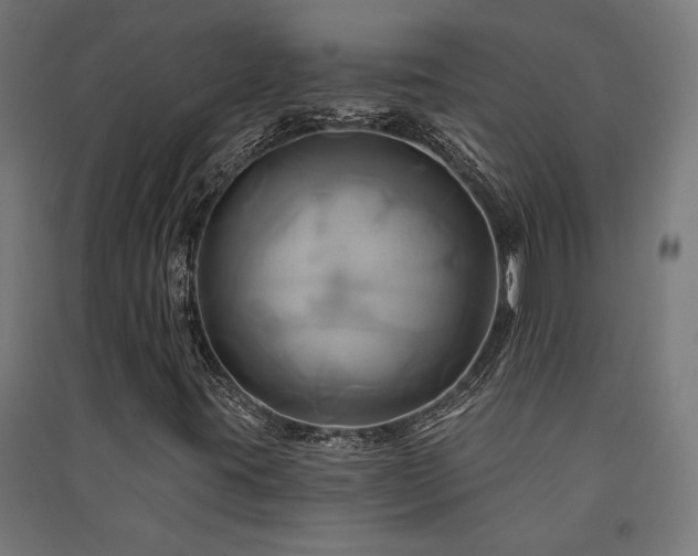 X0000091591395200708201219