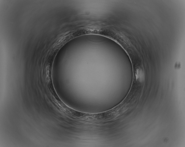 X0000091591396200708201219