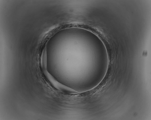 X0000091591398200708201219