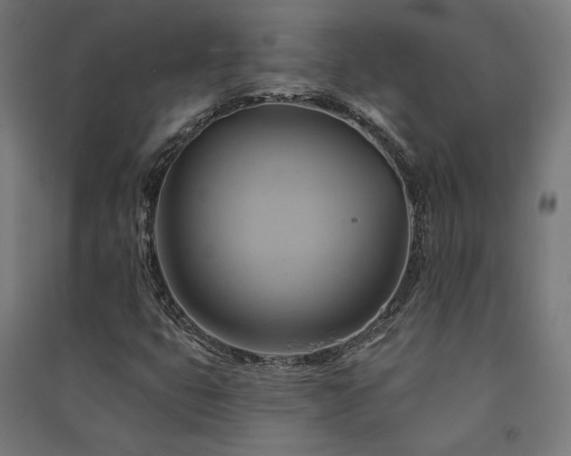 X0000091591399200708201219