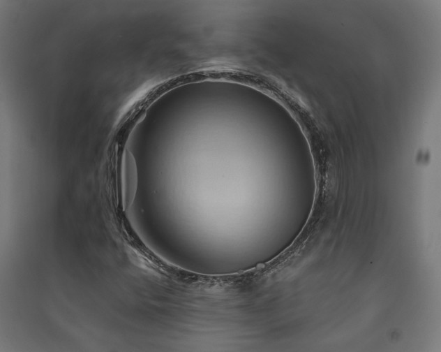 X0000091591400200708201219