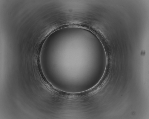 X0000091591401200708201219