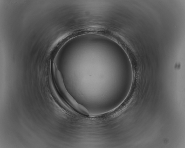 X0000091591402200708201219
