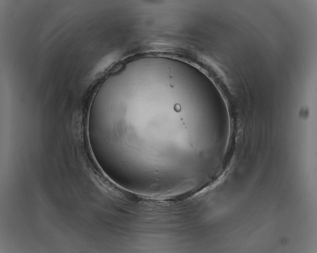 X0000091591403200708201219