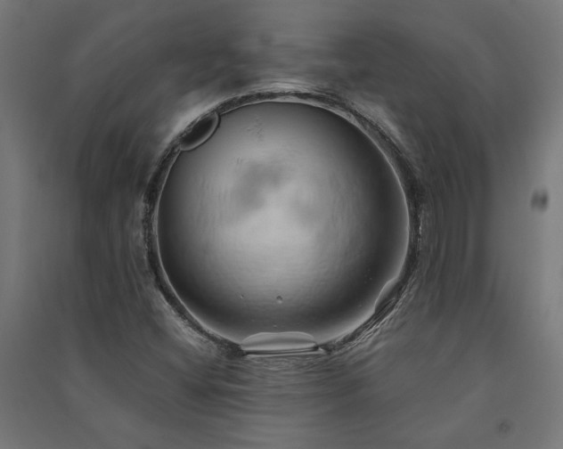 X0000091591404200708201219