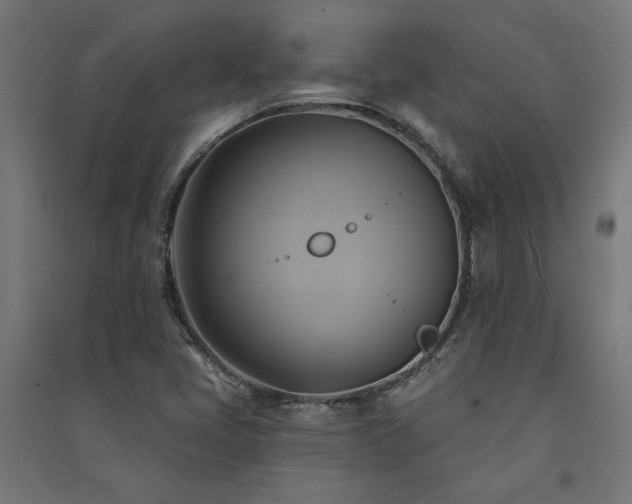 X0000091591405200708201219
