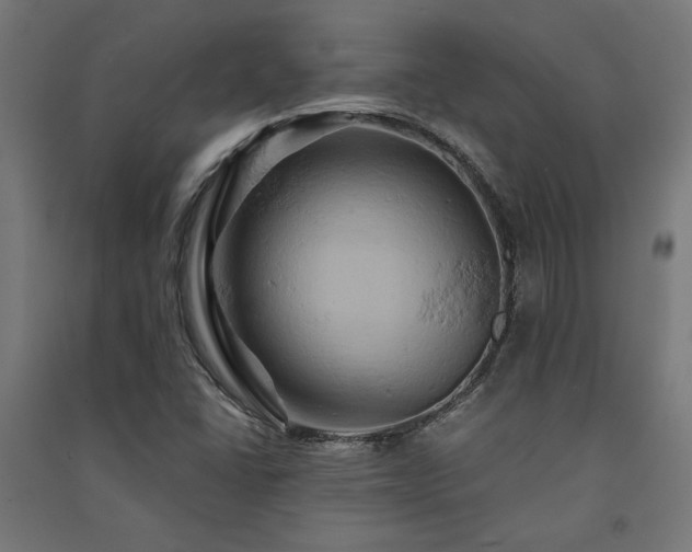 X0000091591406200708201219