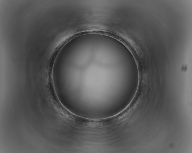 X0000091591407200708201219