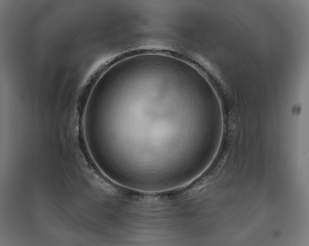 X0000091591408200708201220